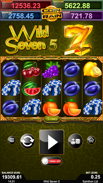 WS5_back