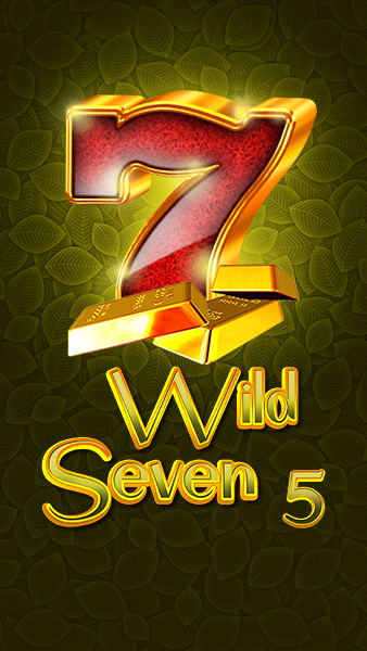 WS5_front