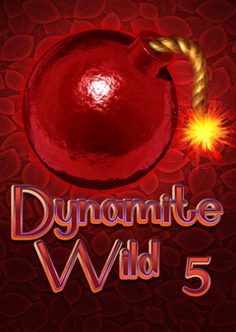 DW5_front