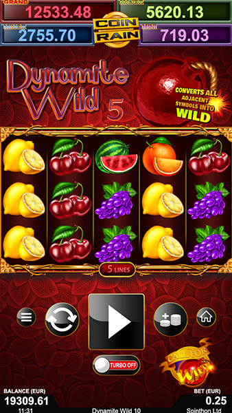 DW5_back