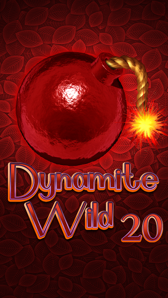 DW20_front