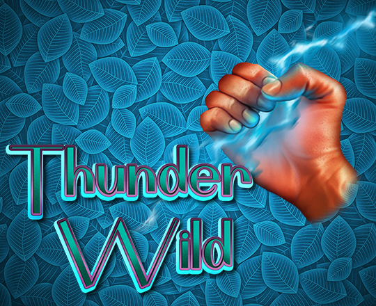 Thunder Wild 5