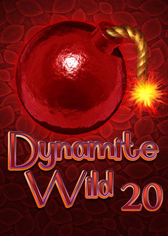 DW20_front